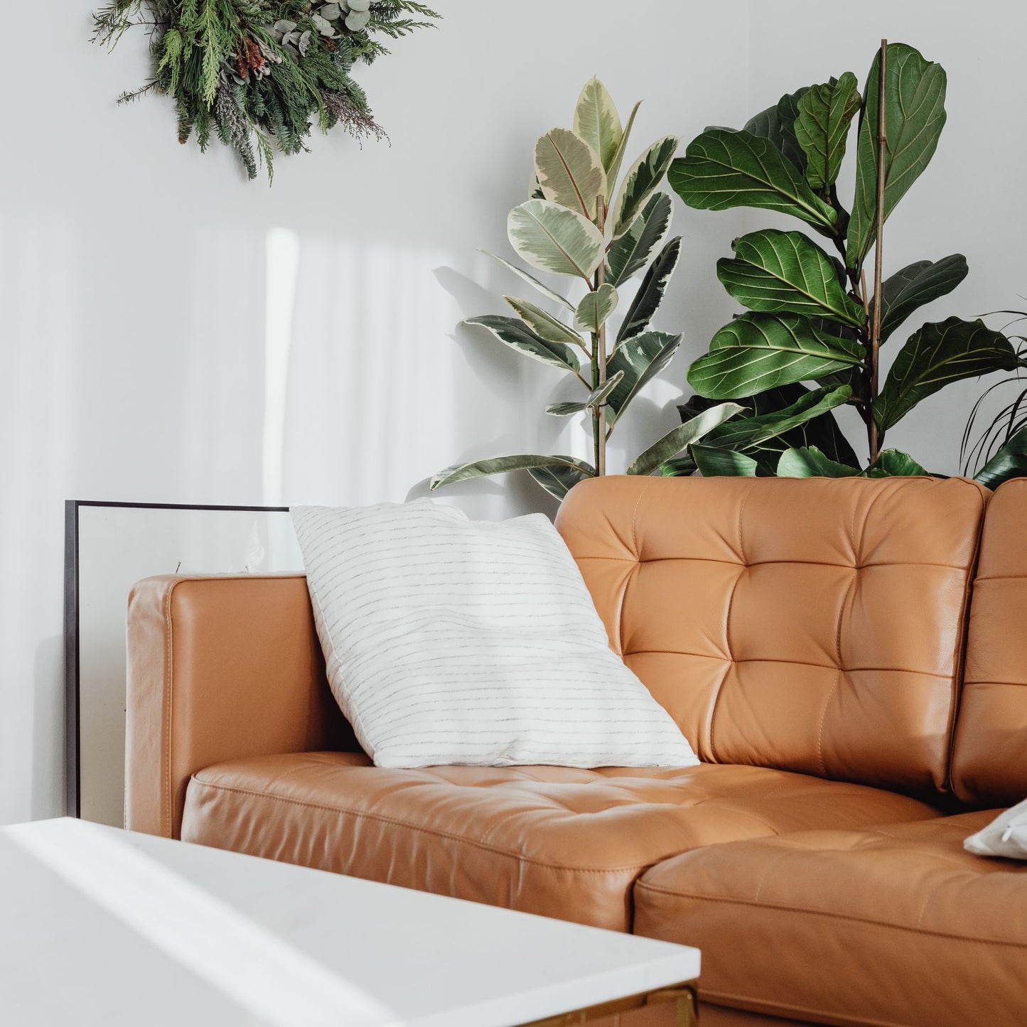 Helpful Tips for cleaning your Leather Couch